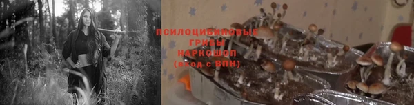 эйфоретик Алексеевка