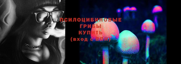 эйфоретик Алексеевка