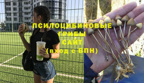 эйфоретик Алексеевка