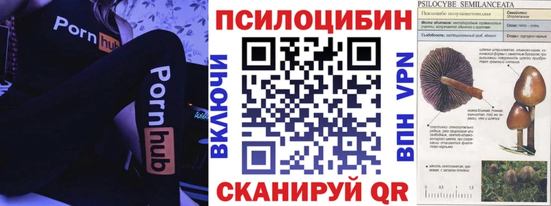 Галлюциногенные грибы Cubensis магазин наркотиков KRAKEN рабочий сайт Гаджиево